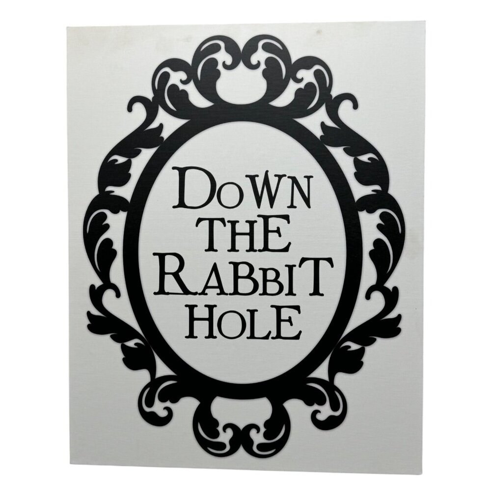 Down The Rabbit Hole Black & White Decorative Wall Art 20x16"canvas READ NEW